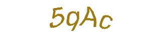 عبارت امنیتی