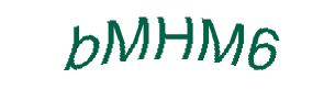 عبارت امنیتی