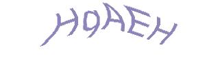 عبارت امنیتی