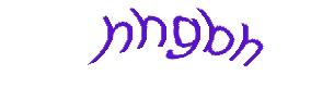 عبارت امنیتی