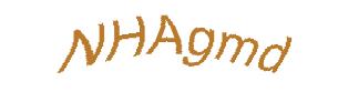 عبارت امنیتی