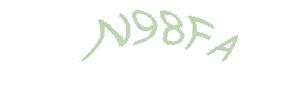 عبارت امنیتی