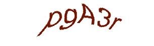 عبارت امنیتی