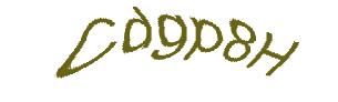 عبارت امنیتی