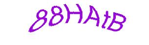 عبارت امنیتی
