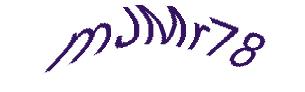 عبارت امنیتی