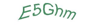 عبارت امنیتی