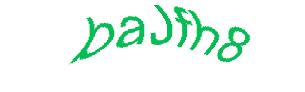 عبارت امنیتی
