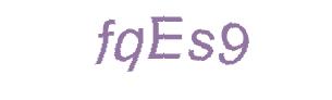 عبارت امنیتی