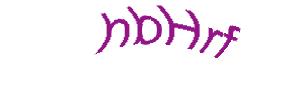 عبارت امنیتی