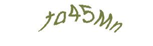 عبارت امنیتی