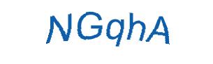 عبارت امنیتی