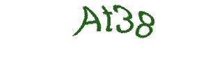 عبارت امنیتی