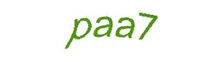عبارت امنیتی