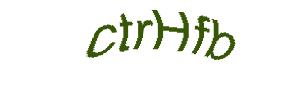 عبارت امنیتی