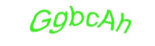 عبارت امنیتی