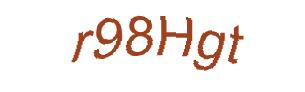 عبارت امنیتی