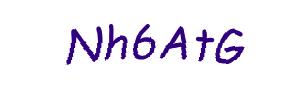 عبارت امنیتی