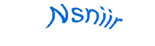 عبارت امنیتی