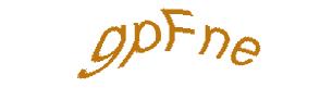عبارت امنیتی