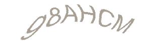 عبارت امنیتی