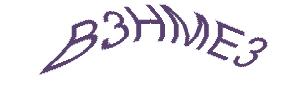 عبارت امنیتی