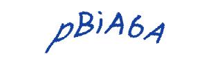 عبارت امنیتی