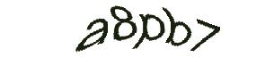 عبارت امنیتی