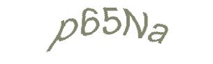 عبارت امنیتی