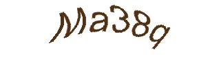 عبارت امنیتی