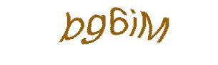 عبارت امنیتی