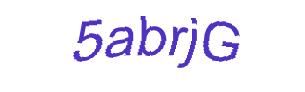عبارت امنیتی