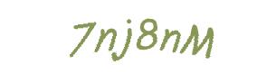 عبارت امنیتی