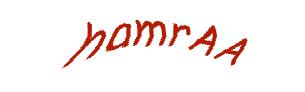 عبارت امنیتی