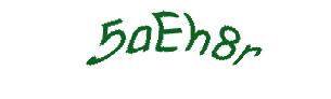 عبارت امنیتی