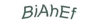 عبارت امنیتی