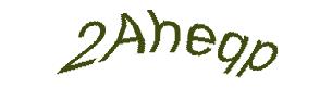 عبارت امنیتی