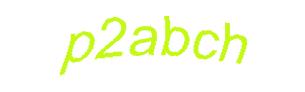 عبارت امنیتی