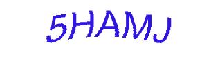 عبارت امنیتی