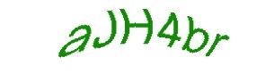 عبارت امنیتی