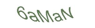 عبارت امنیتی