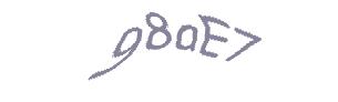 عبارت امنیتی