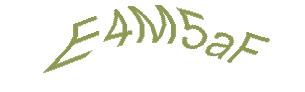 عبارت امنیتی