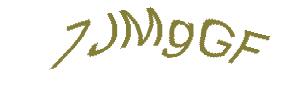 عبارت امنیتی