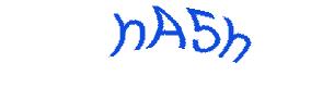 عبارت امنیتی
