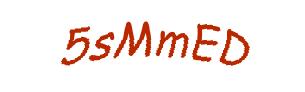 عبارت امنیتی