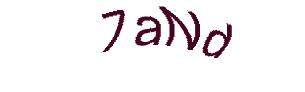 عبارت امنیتی