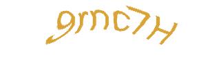 عبارت امنیتی