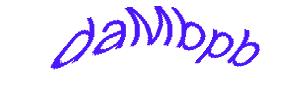 عبارت امنیتی
