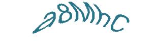 عبارت امنیتی